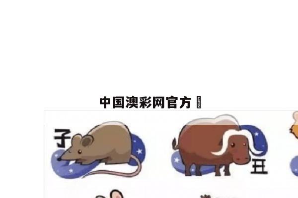 新闻中心 第6页